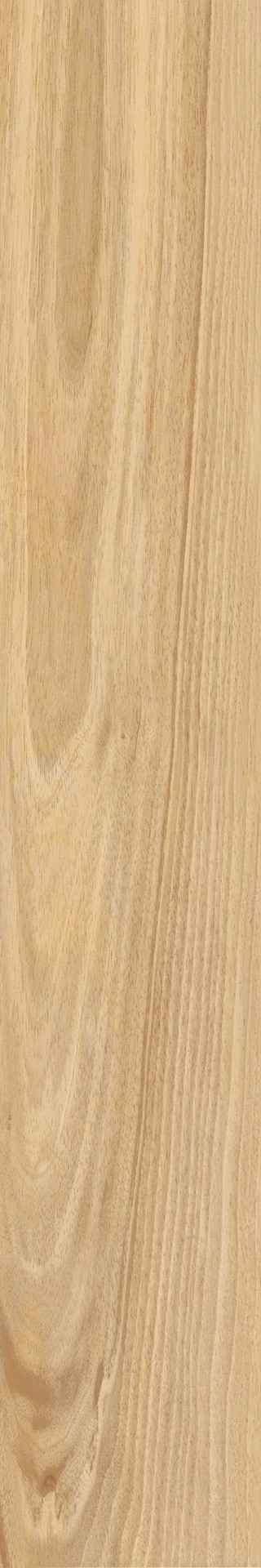 Керамогранит Италон Мезон Шампэйн 20X120 Рет