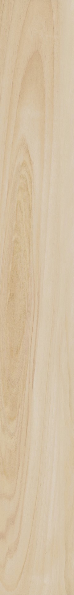 Керамогранит Италон Мезон Хани  15X120