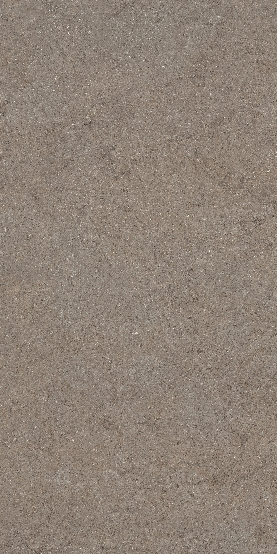 Керамогранит Италон Дискавер Дезерт 60X120 Рет