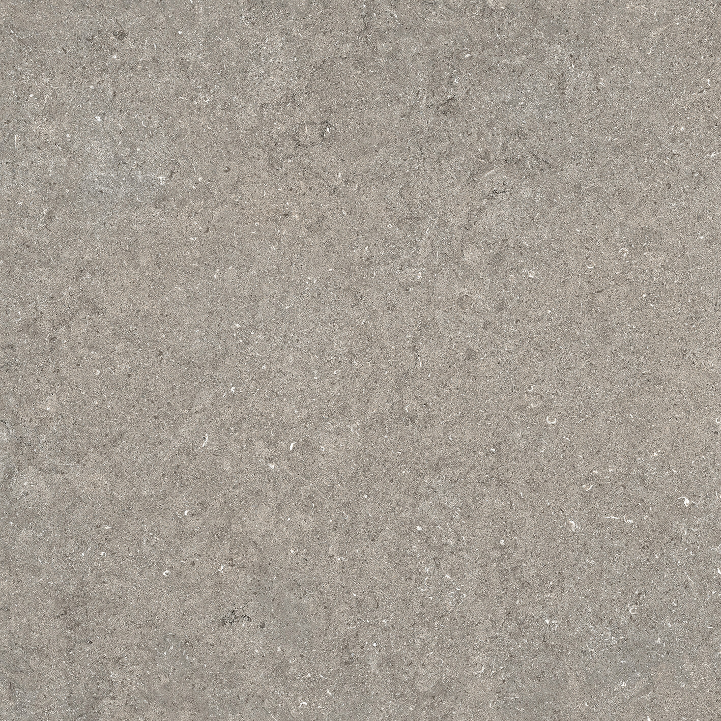 Керамогранит Италон Дискавер Грэй 60X60 Рет